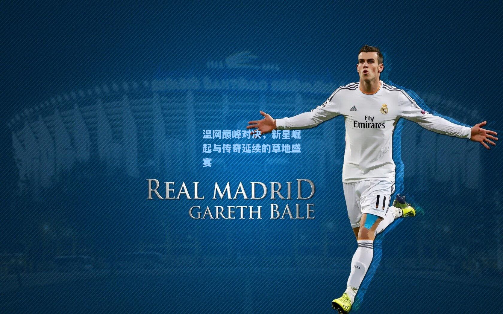 温网巅峰对决,新星崛起与传奇延续的草地盛宴