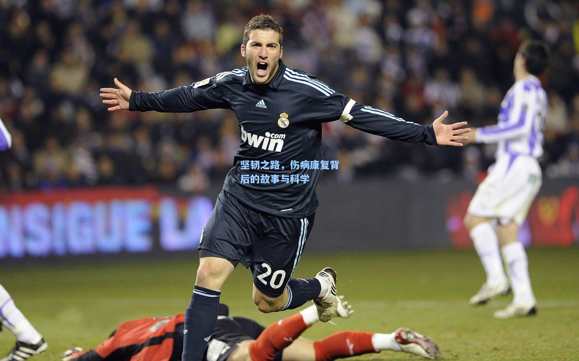 坚韧之路,伤病康复背后的故事与科学